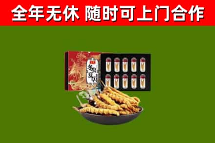 确山回收冬虫夏草价格