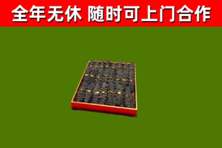 确山烟酒回收海参.jpg